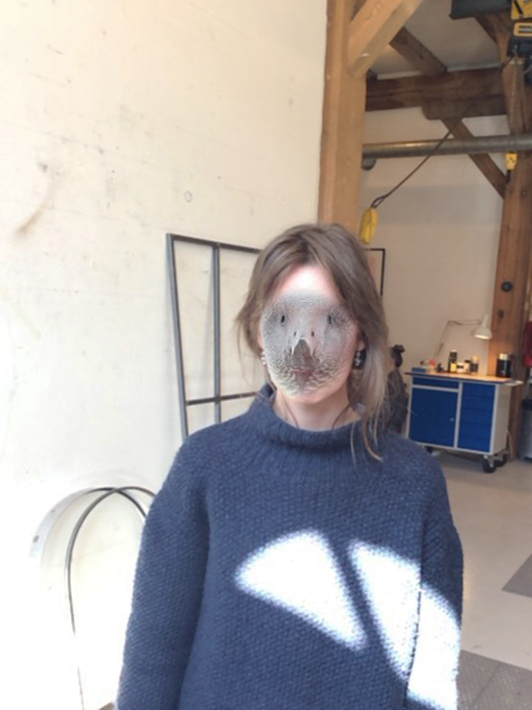 Signe Boe